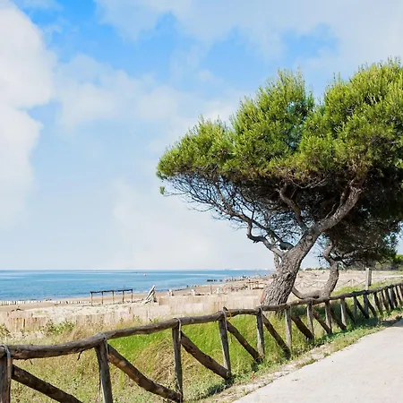 Lovely Seaview Flat - Beahost Apartment